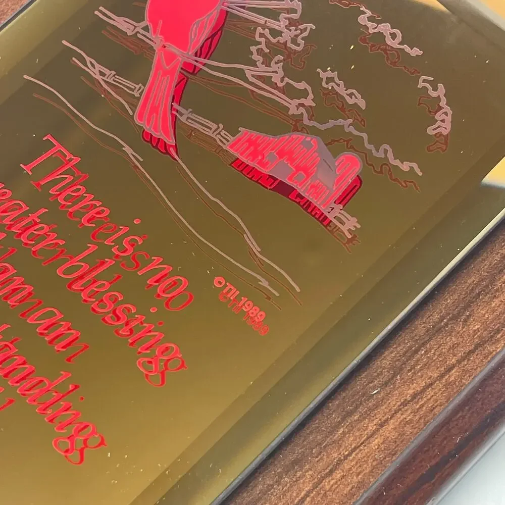 Vintage 1989 Friendship Cardinal Mirror Plaque Wood Wall Hanging TII